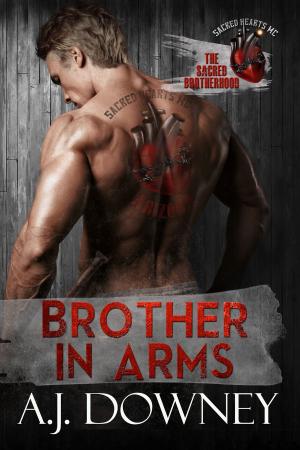 Cover of the book Brother In Arms by Virginia Locke, Nadia Dantes