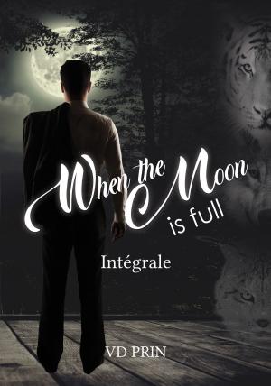 Cover of When the moon is full