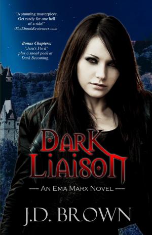 Book cover of Dark Liaison