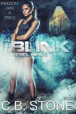 Cover of the book Blink 1 by Lisa Mannetti