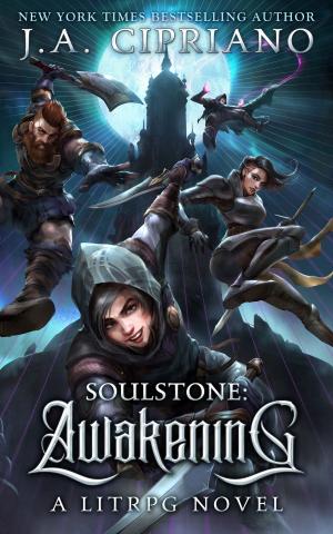 Book cover of Soulstone: Awakening