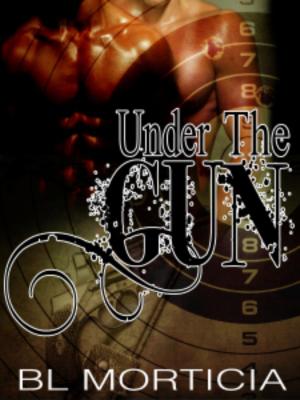 Cover of the book Hardy and Day Under the Gun Boxset by Rawiya, Michael Mandrake