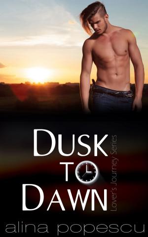 Cover of the book Dusk to Dawn by Alina Popescu