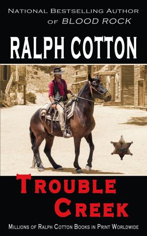 Book cover of Trouble Creek