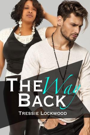 Cover of the book The Way Back by Dani René