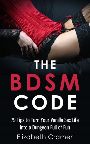 Cover of the book The BDSM Code by Glenna D. Waldo