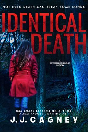 Cover of the book Identical Death by J. J. Cagney