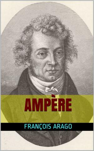 Cover of the book Ampère by Elliott Lang