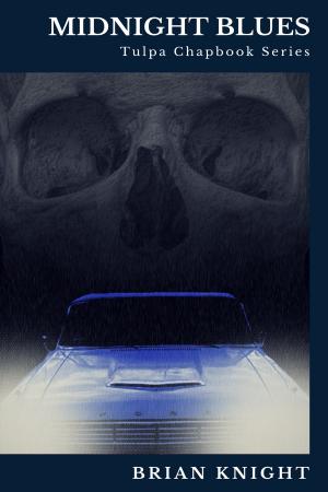 Book cover of Midnight Blues