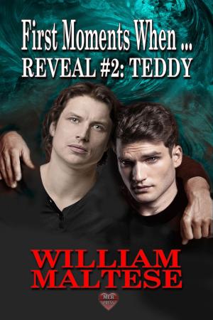 Book cover of Teddy
