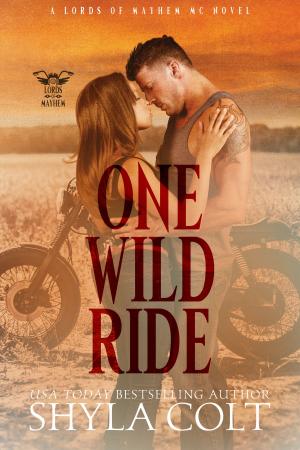 Cover of the book One Wild Ride by Jae Jordon
