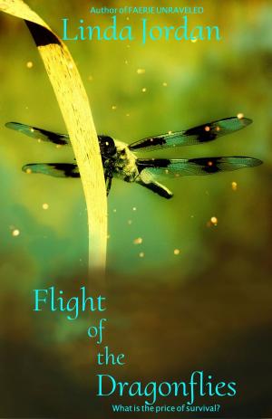 Book cover of Flight of the Dragonflies