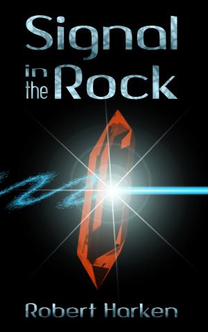bigCover of the book Signal in the Rock by 