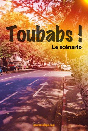Cover of the book Toubabs ! by Jackson Stein