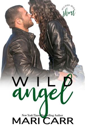 Cover of the book Wild Angel by Stacy Stone