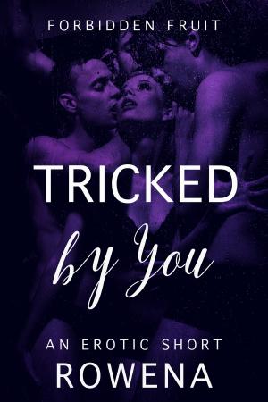 Cover of the book Tricked by You by Anita Swirl