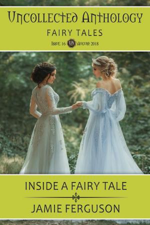 Book cover of Inside a Fairy Tale