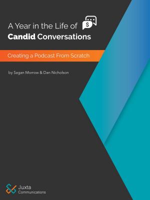 Cover of the book A Year in the Life of Candid Conversations by Larry M. Jacobson, MBA, Ed.D
