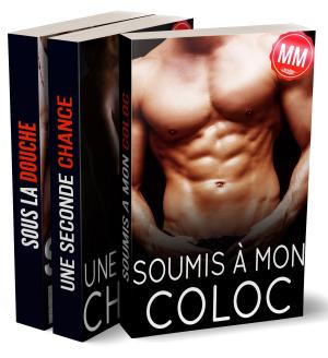 Cover of the book Compilation de 3 Nouvelles érotiques M/M by Elkart Coetzee