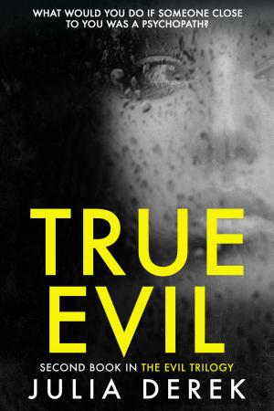 Cover of the book True Evil by Julia Derek
