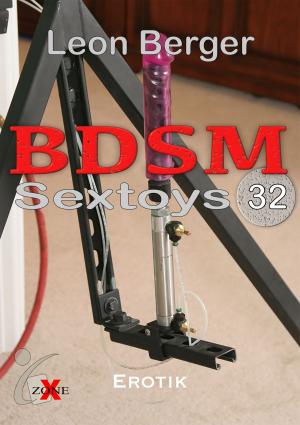 Cover of the book BDSM 32 by Leon berger