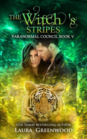 Cover of the book The Witch's Stripes by Stina Lindenblatt