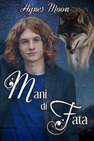 Book cover of Mani di Fata