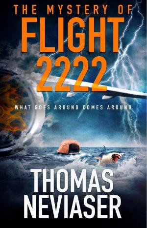 Cover of the book The Mystery of Flight 2222 by Dick Couch