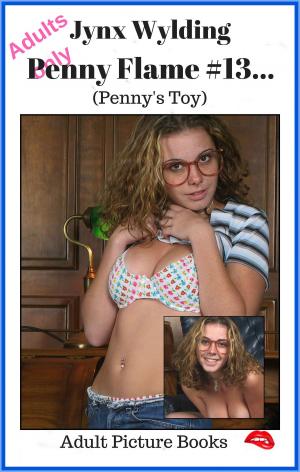 Book cover of Penny Flame Pennys Toy