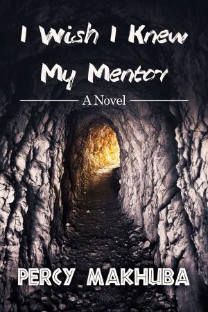 Cover of I wish I knew my mentor