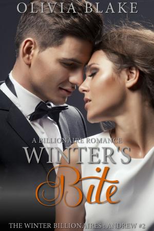 Book cover of Winter's Bite