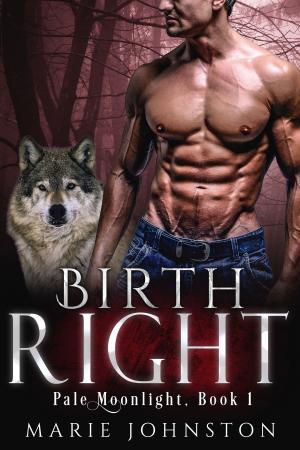 Cover of the book Birthright by Macy Babineaux