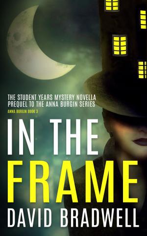 Book cover of In The Frame - Prequel Mystery Novella