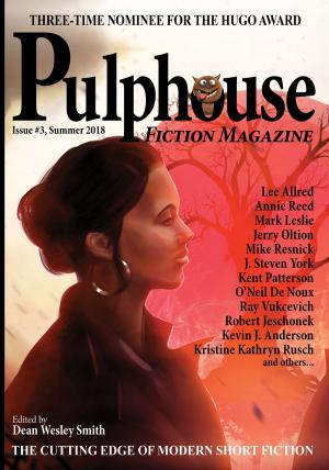 bigCover of the book Pulphouse Fiction Magazine by 