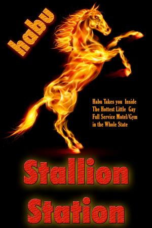 Cover of the book Stallion Station by Chris Cross