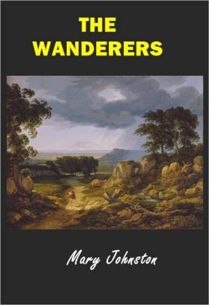 Cover of the book The Wanderers by Kaira Rouda
