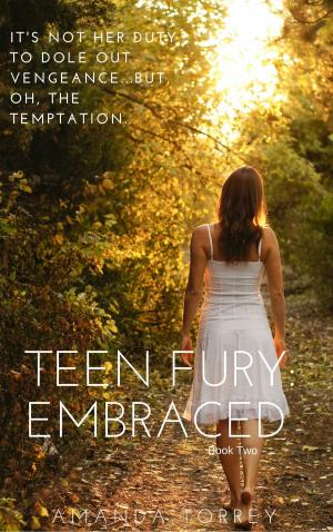 bigCover of the book Teen Fury: Embraced by 