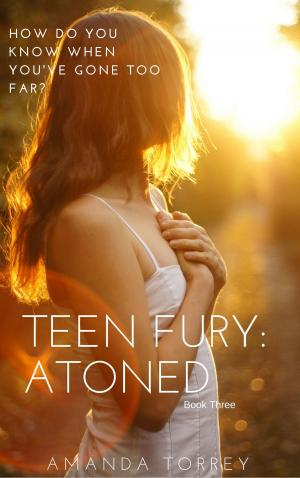 bigCover of the book Teen Fury: Atoned by 