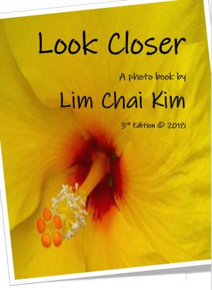 Cover of the book Look Closer by 