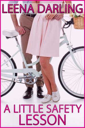 Cover of the book A Little Safety Lesson by Magali Mazerand