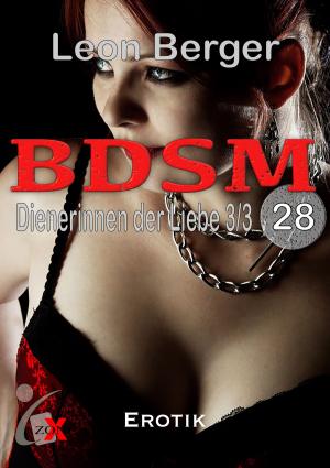 Cover of the book BDSM 28 by Remember Nikki Pink