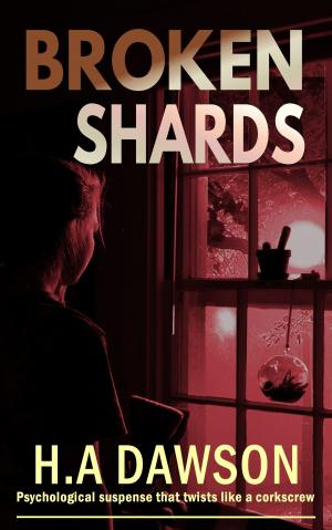 Cover of the book Broken Shards by Tom Bradley Jr.