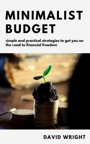 Book cover of Minimalist Budget