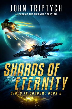 Cover of the book Shards of Eternity by John Triptych