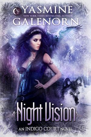 Cover of the book Night Vision by Yvonne Anthony