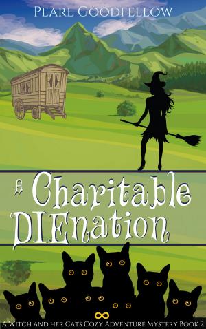 Cover of A Charitable DIEnation