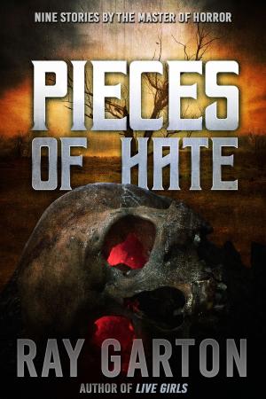 Cover of the book Pieces of Hate by Kealan Patrick Burke, Adam Light, Evans Light, Edward Lorn, Mark Matthews, John McNee, Jason Parent, Craig Saunders, Gregor Xane