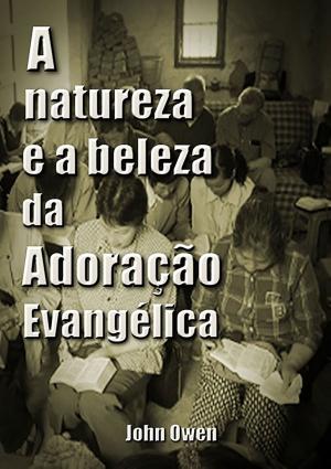 Cover of the book A Natureza E A Beleza Da Adoração Evangélica by Luiz Bertini