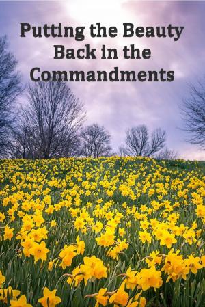 Cover of the book Putting the Beauty Back in the Commandments by Jeremiah Burroughs