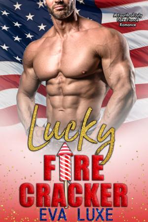 bigCover of the book Lucky Firecracker by 